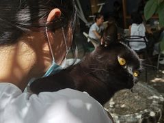 -喵屿·大理花园猫咖