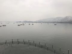 -湖畔居茶楼(湖滨店)