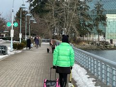-飞跃加拿大
