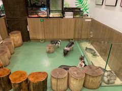 -藦茜花园宠物主题亲子互动体验馆(国顺东路店)
