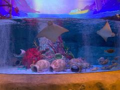 -沈阳海洋探索中心