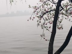 -西湖外事游船(湖滨二公园外事游船码头)