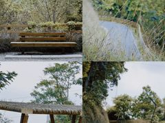 -阳台山森林公园