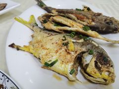 香煎海鱼-阳江餐厅·30年老字号·粤菜海鲜大排档