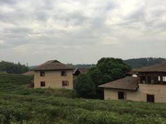 -杏花村文化旅游区