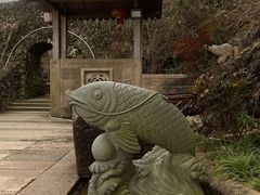 -瑞安圣井山景区