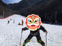 -秦岭终南山世界地质公园翠华山景区