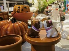 -陶缘陶瓷工厂店