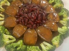 -金砂阿洲鱼册店