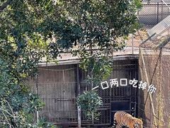 -深圳野生动物园