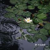 觉得闷热,就逛去园林吃雪糕!