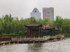 -莲花池公园