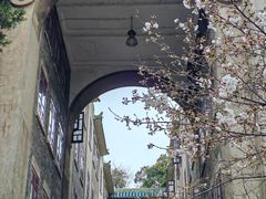 -武汉大学-樱园