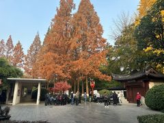 -郑和公园