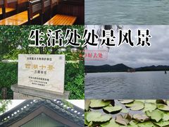 -西湖游船