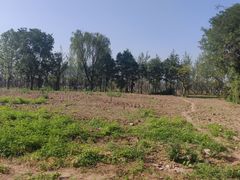 -汉长安城未央宫国家考古遗址公园