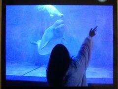 -多彩贵州城极地海洋世界