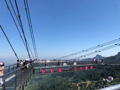 -梦幻奥陶纪景区