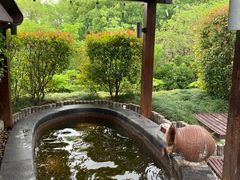 -扬州瘦西湖温泉