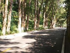 -畔山酒店中餐厅