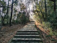 -岳麓山风景名胜区