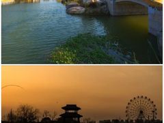 -洋湖国家湿地公园