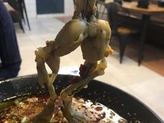 -靓蛙馆