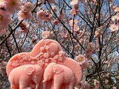 -梅花山(明孝陵内)