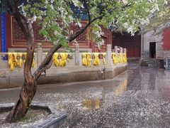 -潭柘寺景区