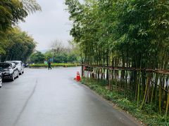 -苏州环秀晓筑养生度假村