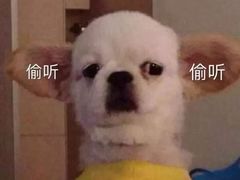 -亮马河饭店翠雅咖啡厅