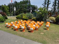 -上海长兴岛郊野公园