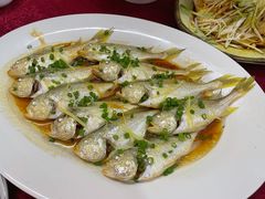 清蒸狮头鱼-隆都四季香饭店(碧海路店)