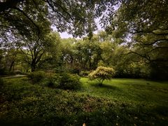 -上海共青森林公园