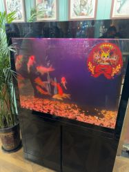 -尚逸男士理发馆·专注男发