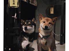 -柚下次·关东煮