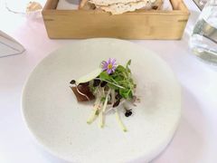 -蝶舍·MAISON PAPILLON