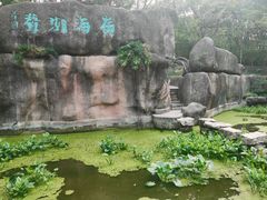 -深圳国际园林花卉博览园