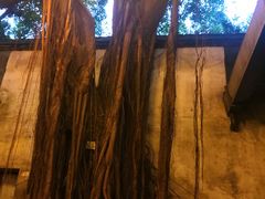 -文儒九号·闽菜馆(三坊七巷店)