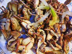 -小鱼儿海鲜港(新村十区店)