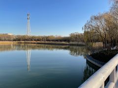 -大兴滨河森林公园