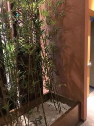 -盘子女人坊古装写真摄影(南京总店)