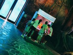 -多彩贵州城极地海洋世界