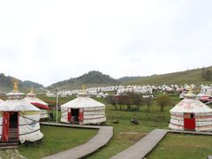 -关山草原