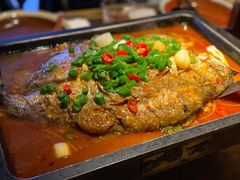 海鲈鱼-炉鱼(萧山万象汇店)