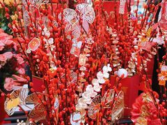 -越秀西湖花市(广州城市广场花卉店)