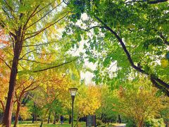 -国家植物园南园