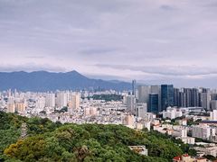 -福道
