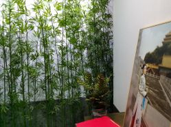 -盘子女人坊古装写真摄影(天津总店)