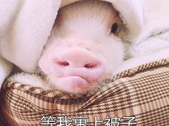 -金逸影城(大悦城IMAX激光店)